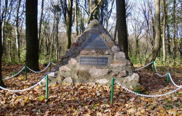 Војвођанске приче: Игњат Павлас српски сокол